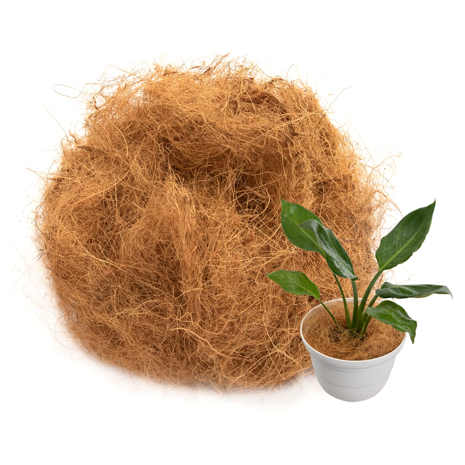 Amazon | アストロ ココヤシファイバー 約100g ココファイバー